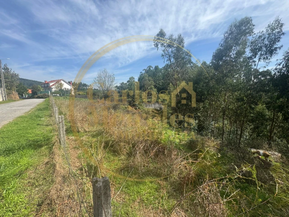 Terreno para Venda em Ribeira do Neiva Foto 12