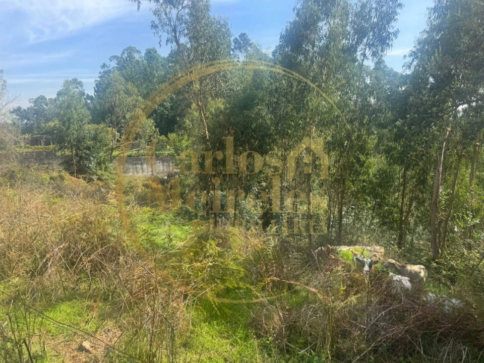 Terreno para Venda em Ribeira do Neiva Foto 13