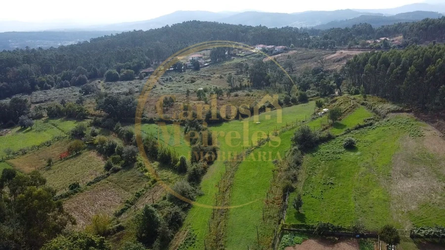 Terreno para Venda em Ribeira do Neiva Foto 2
