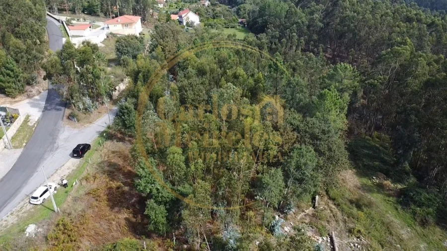 Terreno para Venda em Ribeira do Neiva Foto 3