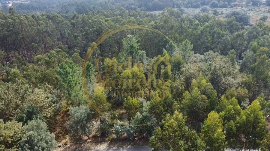 Terreno para Venda em Ribeira do Neiva Foto 5