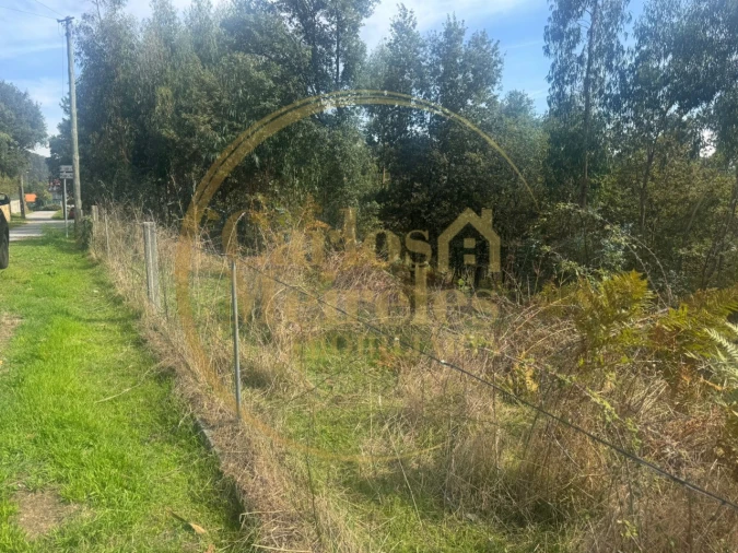 Terreno para Venda em Ribeira do Neiva Foto 8