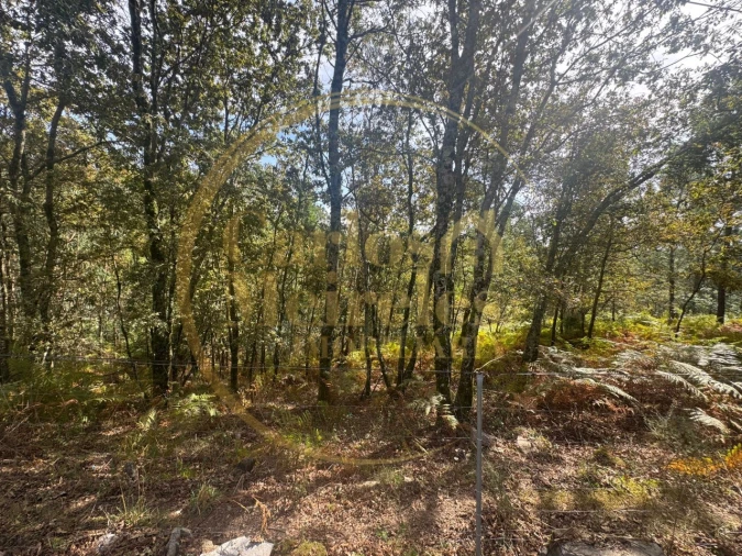 Terreno para Venda em Ribeira do Neiva Foto 11