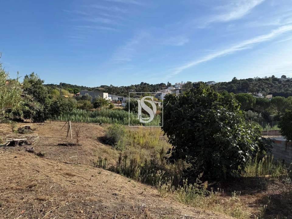 Moradia T2 para Venda em Chamusca e Pinheiro Grande Foto 14