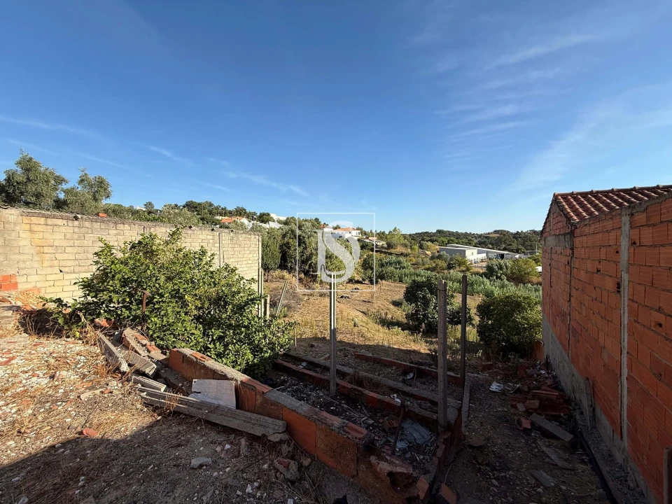 Moradia T2 para Venda em Chamusca e Pinheiro Grande Foto 17