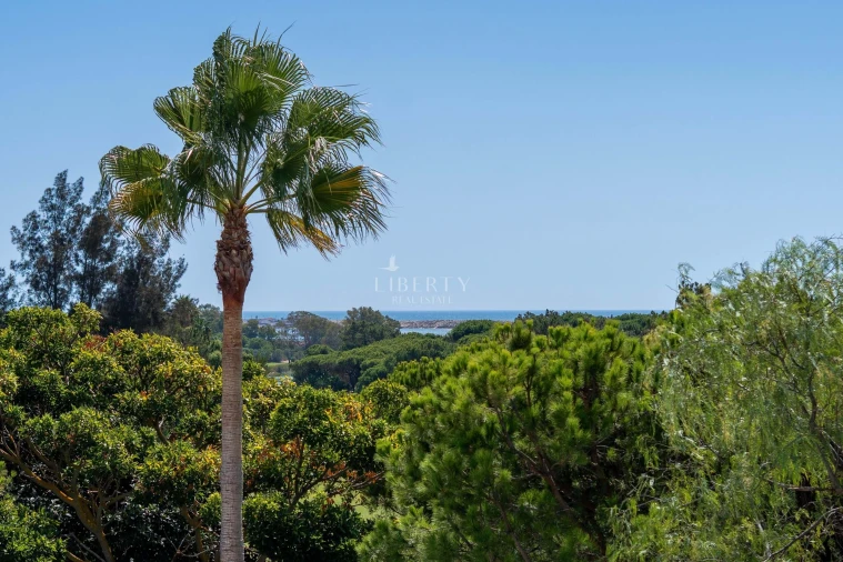 Moradia T6 para Venda em Almancil Planta 35