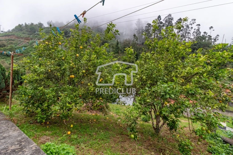 Moradia T4 para Venda em Santo Antonio da Serra Foto 29