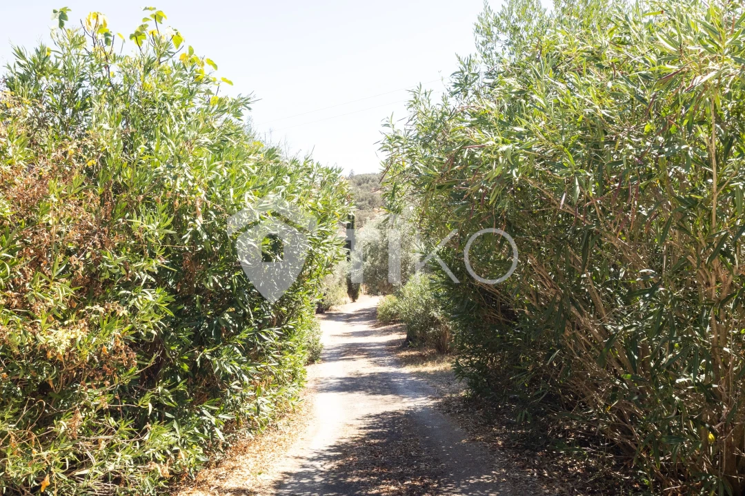 Quinta T4 para Venda em São Miguel de Machede Foto 58