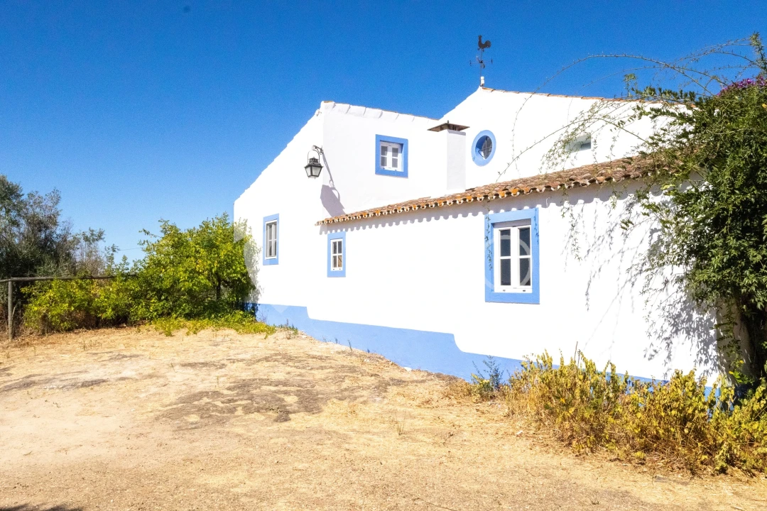 Quinta T4 para Venda em São Miguel de Machede Foto 10
