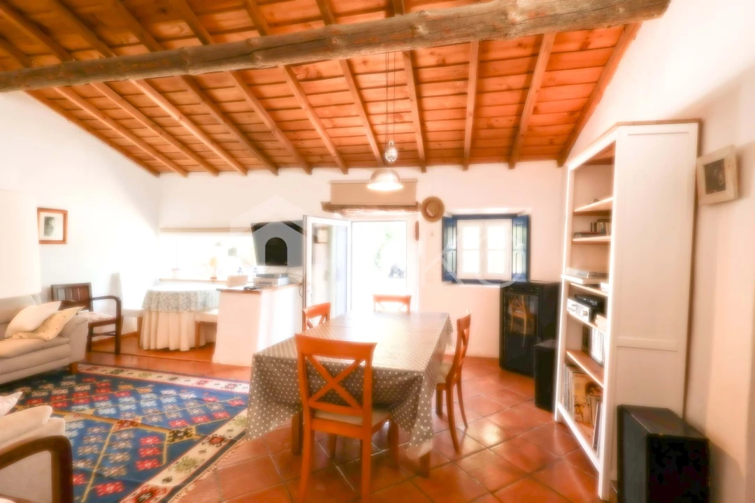 Quinta T4 para Venda em São Miguel de Machede Foto 50