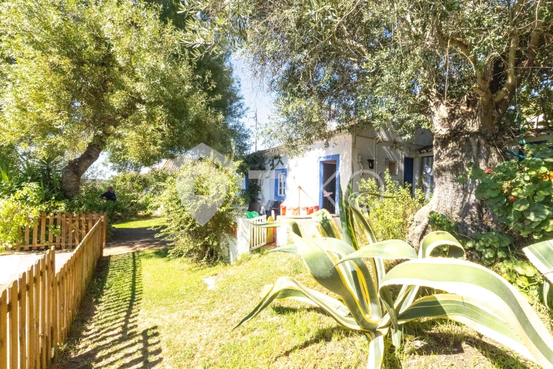 Quinta T4 para Venda em São Miguel de Machede Foto 19