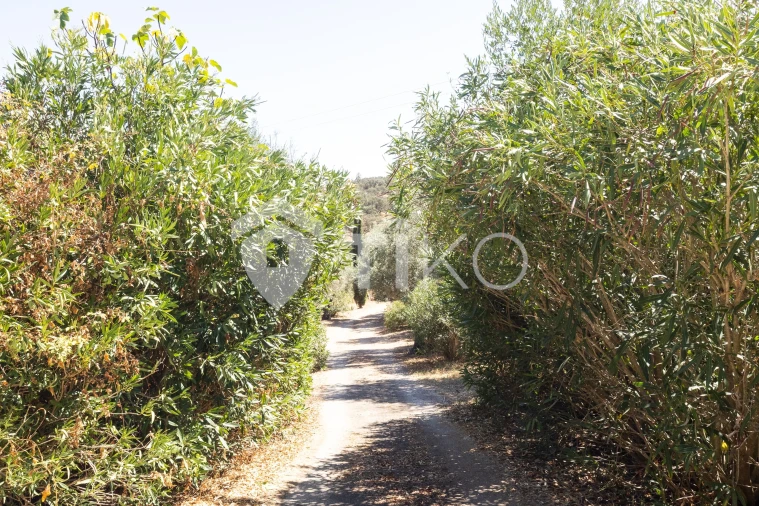 Quinta T4 para Venda em São Miguel de Machede Foto 58