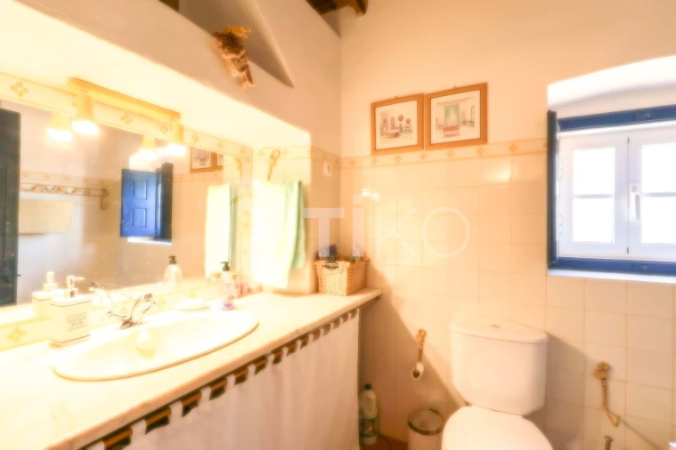 Quinta T4 para Venda em São Miguel de Machede Foto 48