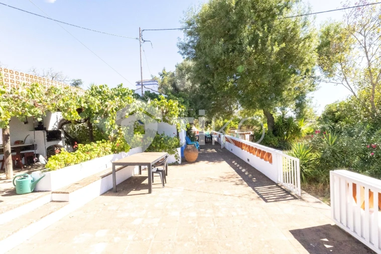 Quinta T4 para Venda em São Miguel de Machede Foto 11