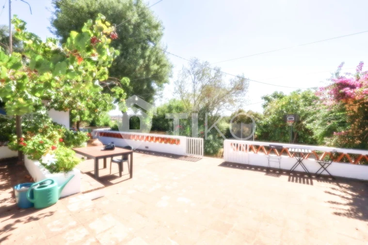 Quinta T4 para Venda em São Miguel de Machede Foto 32