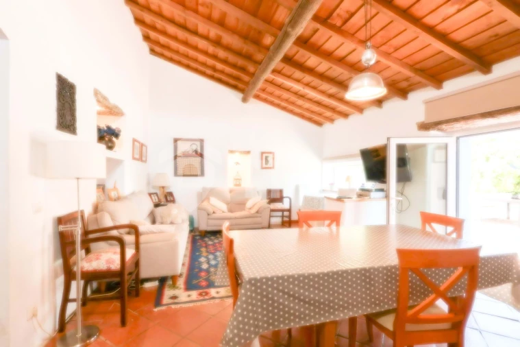 Quinta T4 para Venda em São Miguel de Machede Foto 51