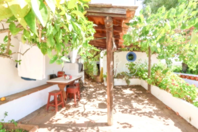 Quinta T4 para Venda em São Miguel de Machede Foto 33