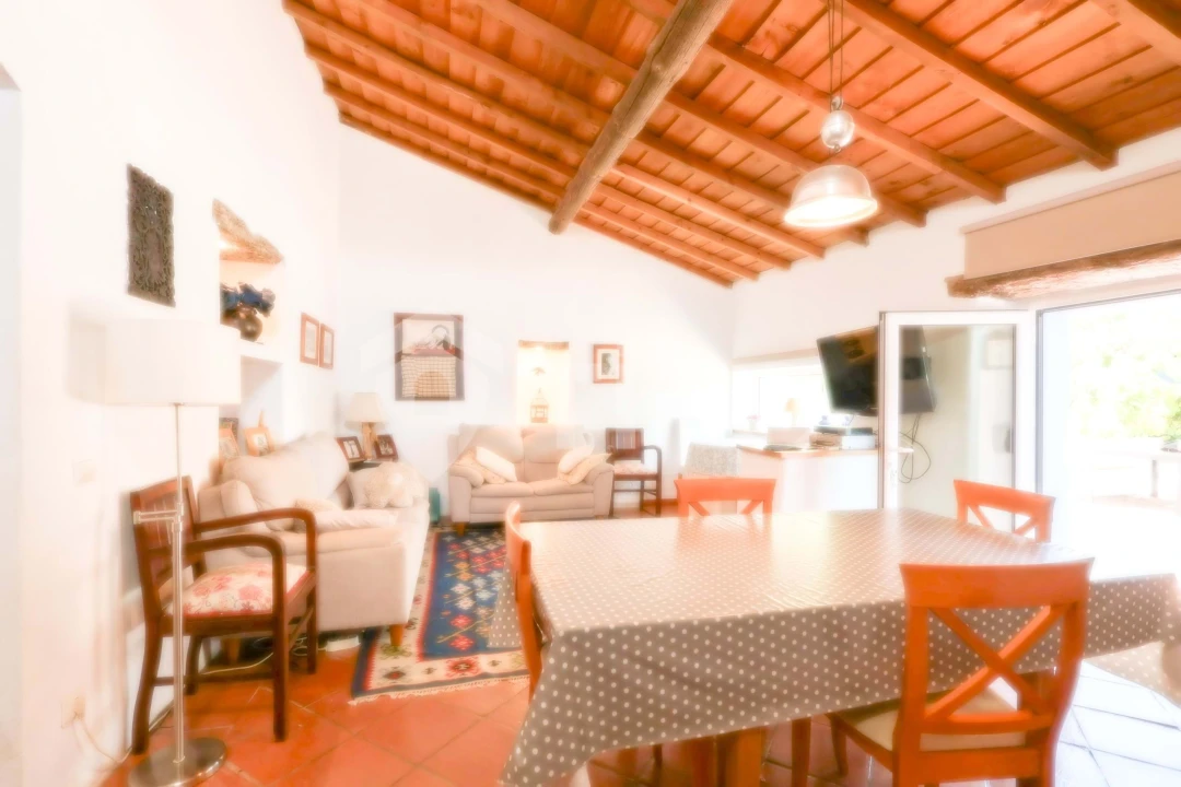 Quinta T4 para Venda em São Miguel de Machede Foto 51