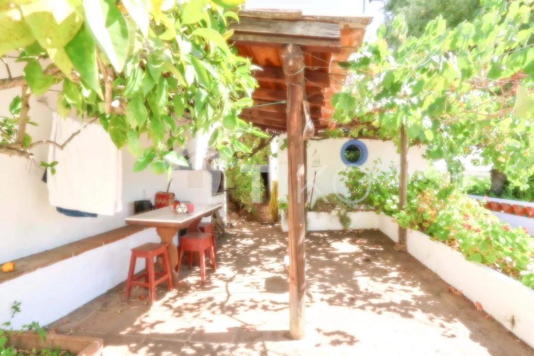 Quinta T4 para Venda em São Miguel de Machede Foto 33