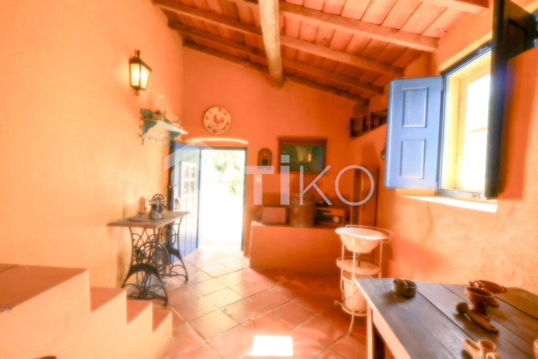 Quinta T4 para Venda em São Miguel de Machede Foto 55