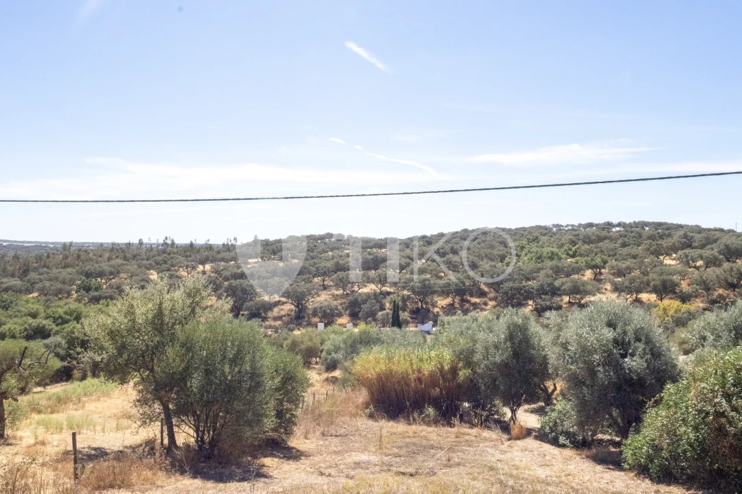 Quinta T4 para Venda em São Miguel de Machede Foto 59