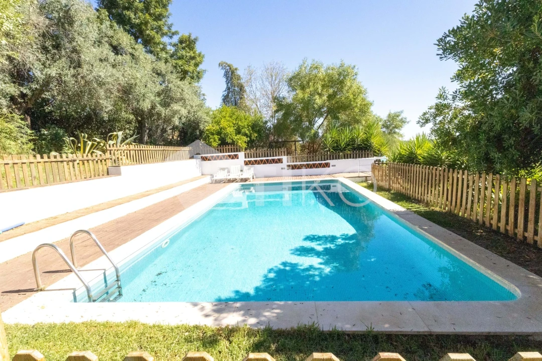 Quinta T4 para Venda em São Miguel de Machede Foto 1