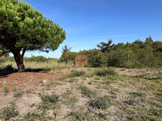 Terreno para Venda em Vau Foto 13
