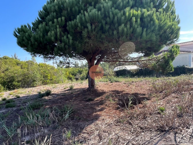 Terreno para Venda em Vau Foto 7