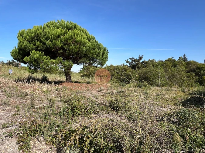 Terreno para Venda em Vau Foto 12