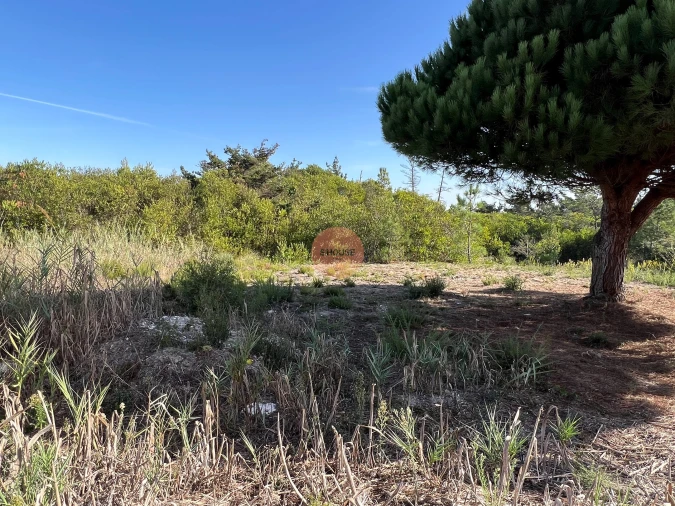 Terreno para Venda em Vau Foto 8