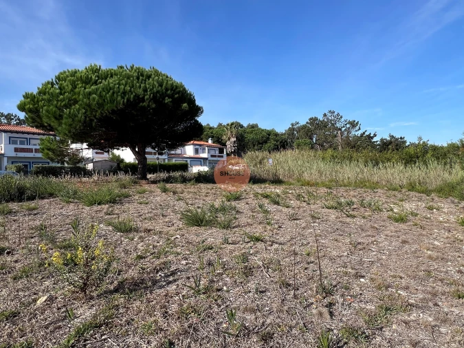 Terreno para Venda em Vau Foto 17