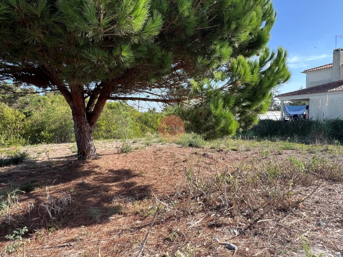 Terreno para Venda em Vau Foto 10