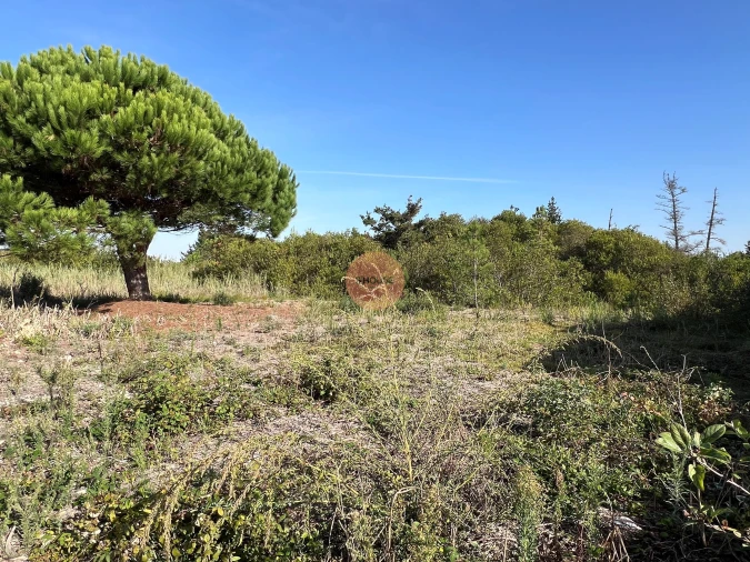 Terreno para Venda em Vau Foto 11
