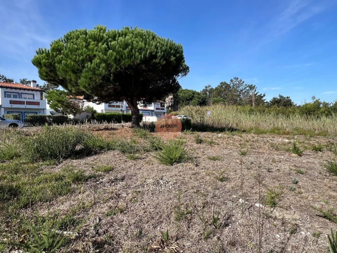 Terreno para Venda em Vau Foto 16
