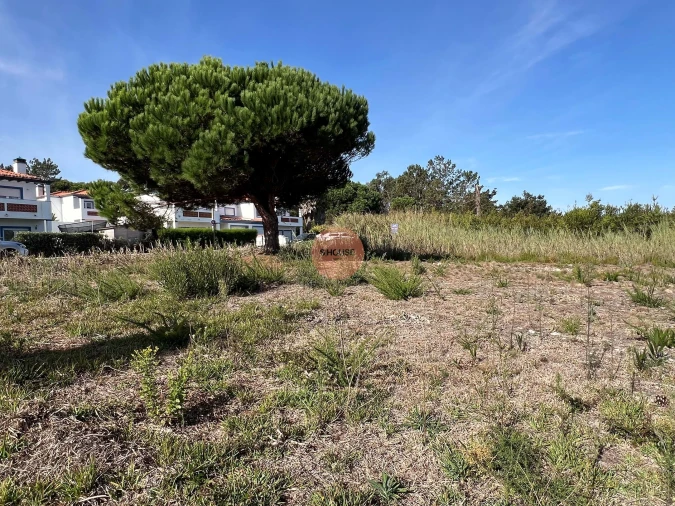 Terreno para Venda em Vau Foto 14