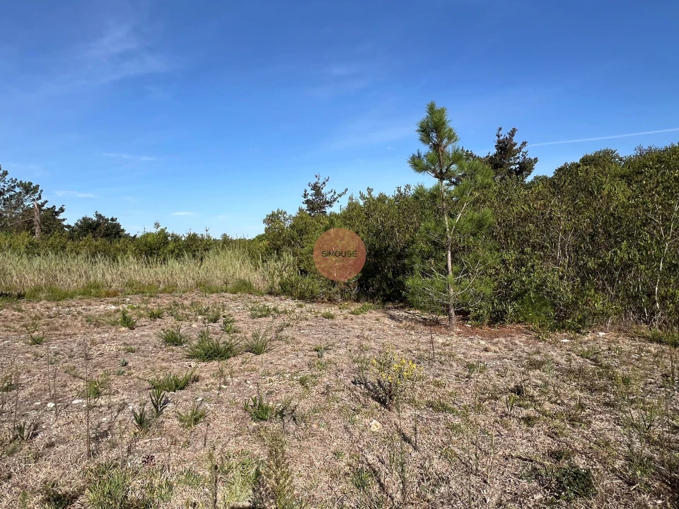 Terreno para Venda em Vau Foto 15