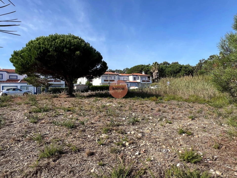 Terreno para Venda em Vau Foto 19