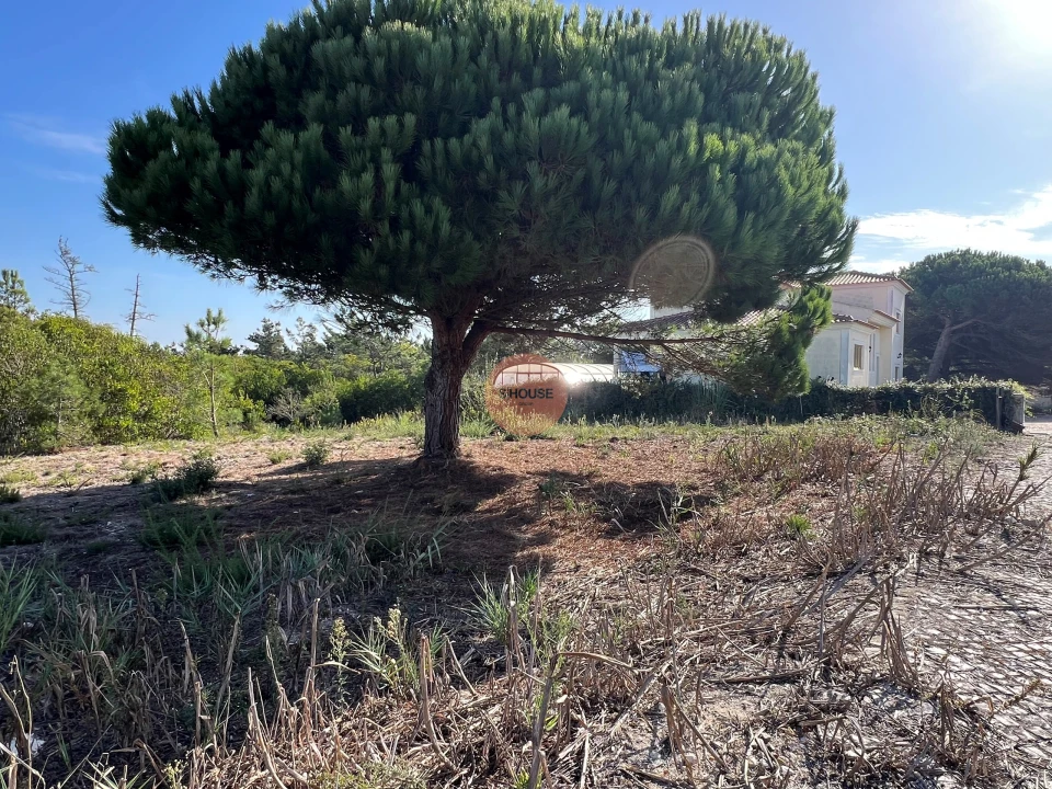 Terreno para Venda em Vau Foto 9