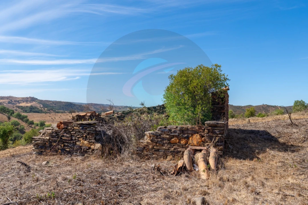 Terreno para Venda em Saboia Foto 27