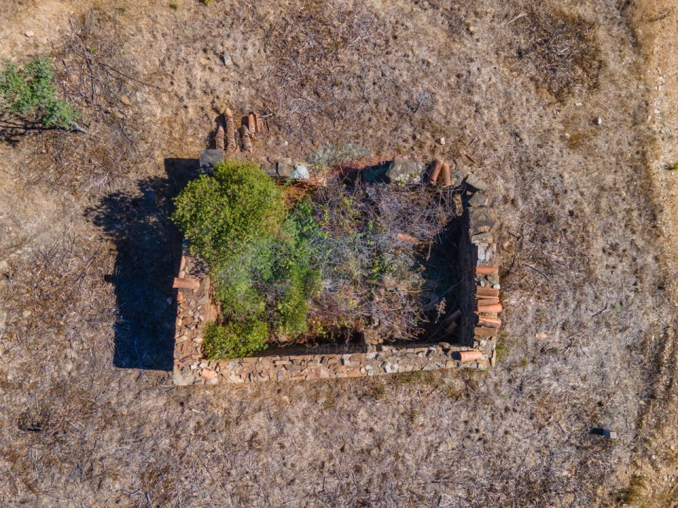 Terreno para Venda em Saboia Foto 28