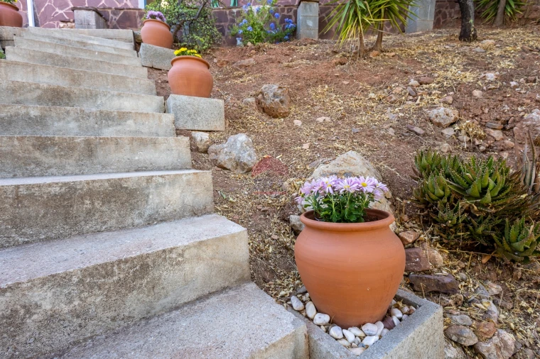 Moradia T0 para Venda em Salir Foto 38