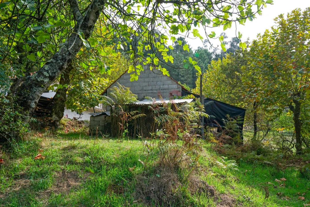 Quinta T3 para Venda em Lustosa e Barrosas (Santo Estêvão) Foto 29