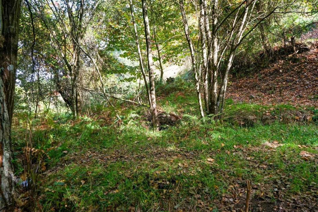 Quinta T3 para Venda em Lustosa e Barrosas (Santo Estêvão) Foto 24