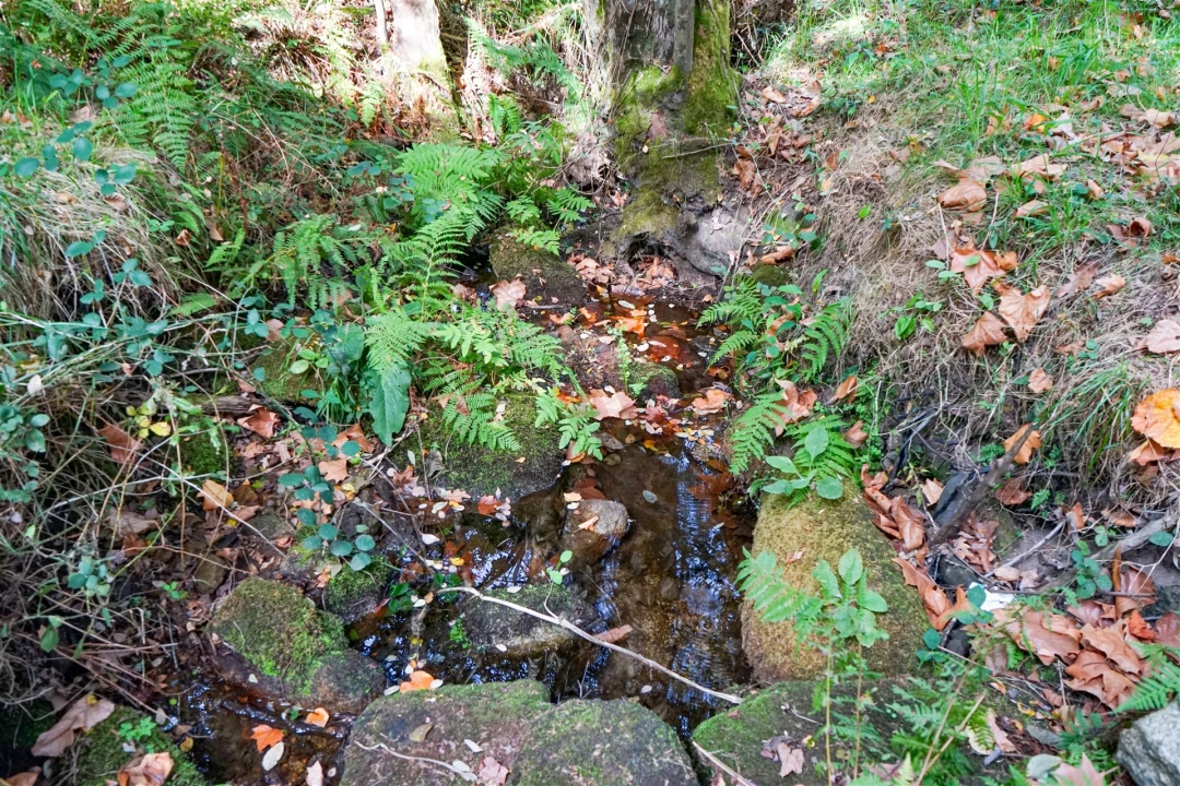 Quinta T3 para Venda em Lustosa e Barrosas (Santo Estêvão) Foto 22