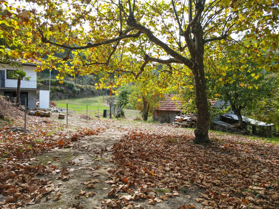 Quinta T3 para Venda em Lustosa e Barrosas (Santo Estêvão) Foto 13