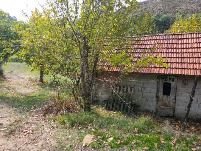 Quinta T3 para Venda em Lustosa e Barrosas (Santo Estêvão) Foto 9