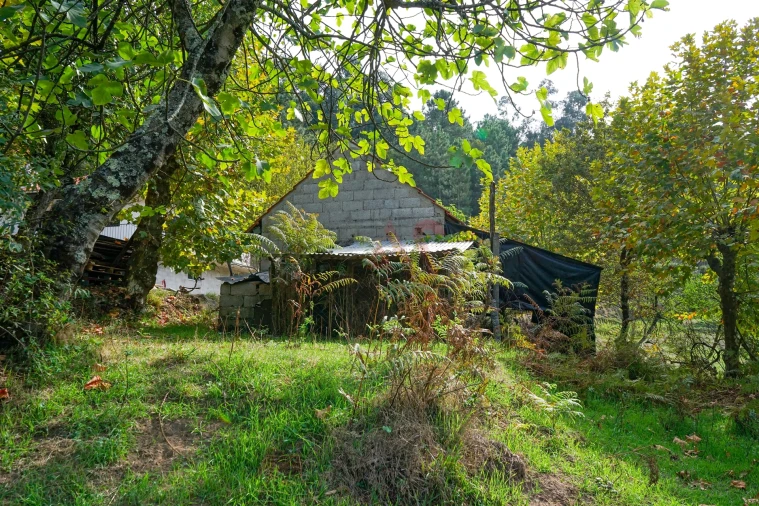 Quinta T3 para Venda em Lustosa e Barrosas (Santo Estêvão) Foto 29