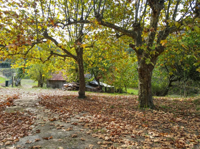 Quinta T3 para Venda em Lustosa e Barrosas (Santo Estêvão) Foto 12