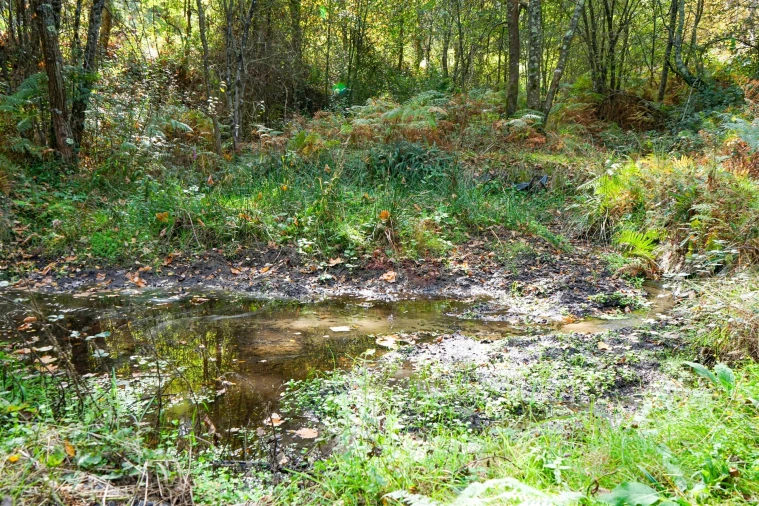 Quinta T3 para Venda em Lustosa e Barrosas (Santo Estêvão) Foto 23