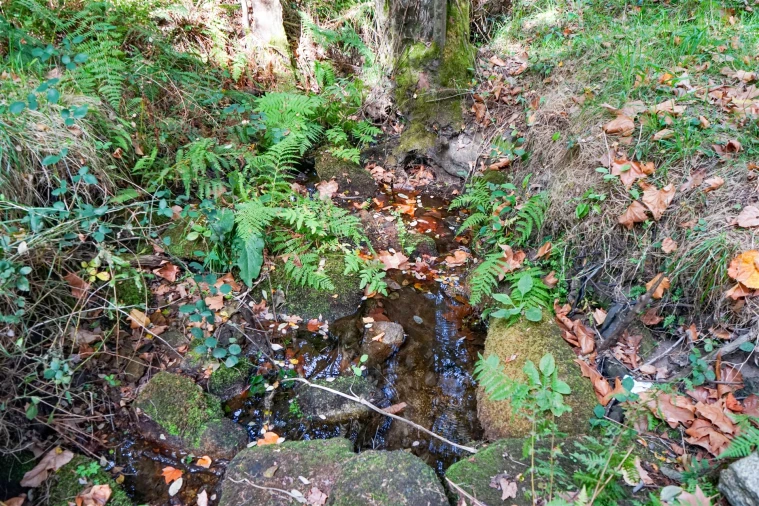 Quinta T3 para Venda em Lustosa e Barrosas (Santo Estêvão) Foto 22
